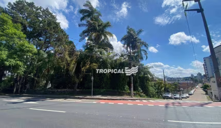 Terreno à venda, 281 m² por R$ 600.000,00 - Velha - Blumenau/SC