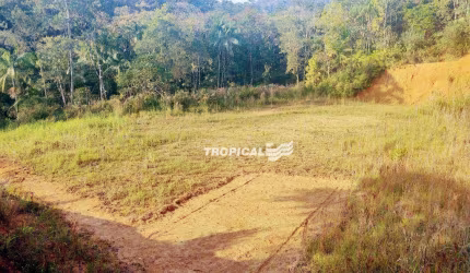 Terreno à venda, 1100 m² por R$ 230.000,00 - Gaspar Alto - Gaspar/SC