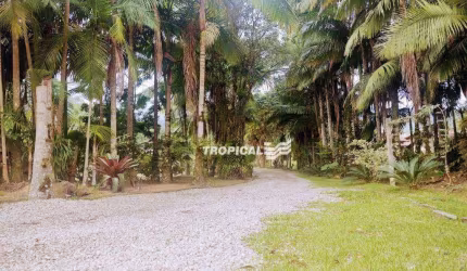 Sítio com 2 dormitórios à venda, 20000 m² por R$ 1.270.000,00 - Alto Gasparinho - Gaspar/SC