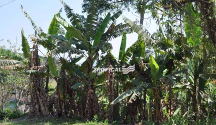 Terreno à venda, 420 m² por R$ 249.000,00 - Fortaleza - Blumenau/SC
