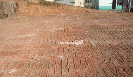 Terreno à venda, 384 m² por R$ 310.000,00 - Tribess - Blumenau/SC
