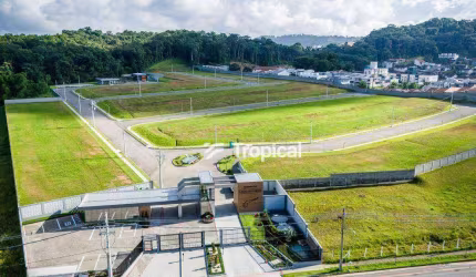 Terreno à venda, 328 m² por R$ 541.938,33 - Velha Central - Blumenau/SC