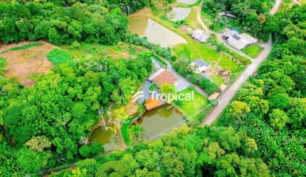 Sítio com 3 dormitórios à venda, 83011 m² por R$ 1.500.000,00 - Belchior Alto - Gaspar/SC