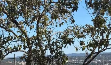Terreno à venda no bairro condomínio jardins da lagoa em Lagoa Santa/MG
