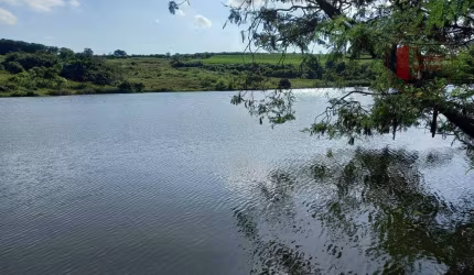 Fazenda com 992.200 na Região de Tiête