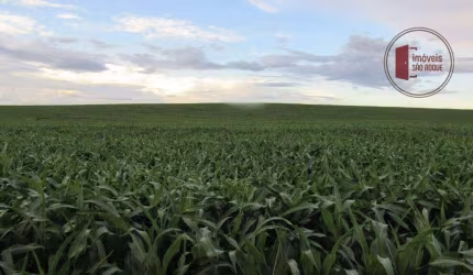 FAZ 116 - Fazenda com 3.035 hect na Região de Chapadão do Céu – GO | Pasto e Agricultura
