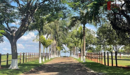 Haras em Tatui e Região com 52 alqs Formado e plano