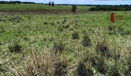 Fazenda à venda, 665500 m² por R$ 6.000.000,00 - Centro - Tatuí/SP