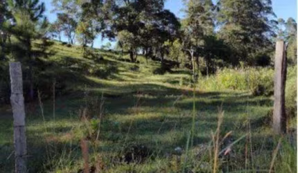 Terreno à venda, 10500 m² por R$ 985.000,00 - Alto da Serra (Mailasqui) - São Roque/SP