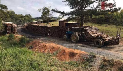 Sítio à venda, 91960 m² por R$ 1.200.000,00 - Zona Rural - Pilar do Sul/SP