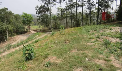 Sítio com 23 Alq em Piedade