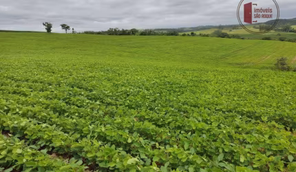 Sitio com 20 alq na Região  de Sorocaba