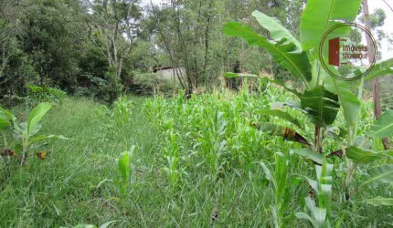 Ótimo terrenos a venda em São Roque.