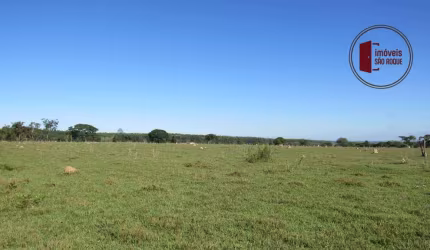 Fazenda  em Angatuba  com 115 alqueires.