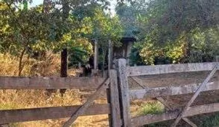 Chácara 4 Hectares DF 260 !!! 400.000 !!!