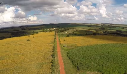 Fazenda Espetacular na Região Mais Produtiva de Grãos de Brasília 8.000.000