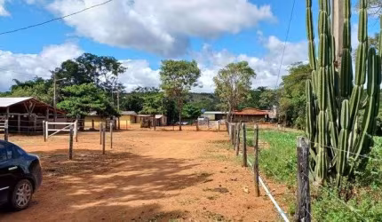 Fazenda 50 Hectares Planaltina de Goiás !!! 2.500.000 !!!
