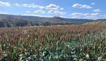 Fazenda no Núcleo Rural Rio Preto com 113 Hectares !!! 3.500.000 !!!