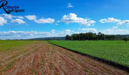 Fazenda 115 Hectares em Planaltina DF !!! 10.000.000 !!!