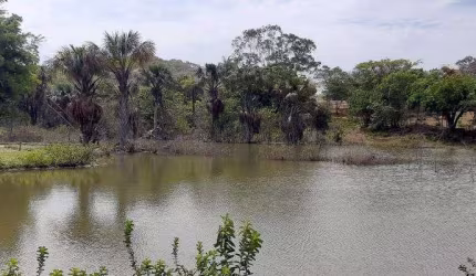 Fazenda Espetacular Planaltina-DF 115 Hectares !!! 4.500.000 !!!