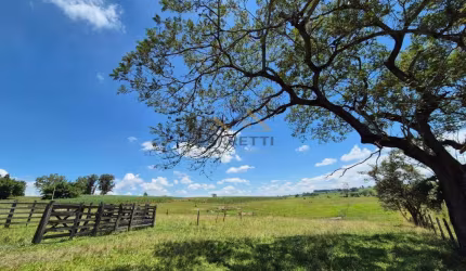 Sítio de 6,6 hectares com água, solo fértil e alto potencial produtivo &#224; venda no Manduca Coelho