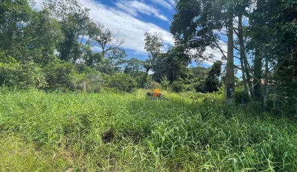 Terreno à venda, 384 m² por R$ 150.000,00 - Praia Das Palmeiras - Itapoá/SC