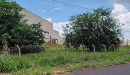 Terreno 819 m² - Jardim Universitário - Votuporanga - SP