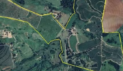 Imóvel Rural 140 ha (Fazenda Santa Maria da Figueira) - Mococa - SP
