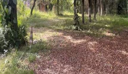 Terreno 1.627 m² - Quinhaú - Embu das Artes - SP