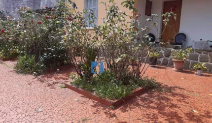 Terreno à venda, 778 m² por R$ 1.499.990,00 - Freguesia do Ó - São Paulo/SP