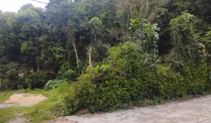 Terreno totalmente plano fora de condomínio em Teresópolis!