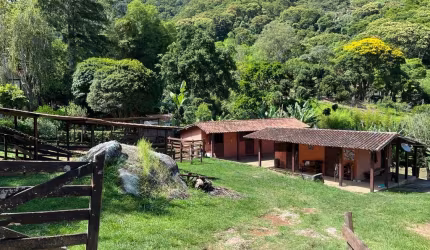 Seu Mini Haras na Serra – Um Refúgio de Paz e Liberdade!