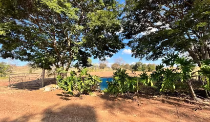 Invista no Campo! Terreno Perfeito para Cultivo e Produção Rural
