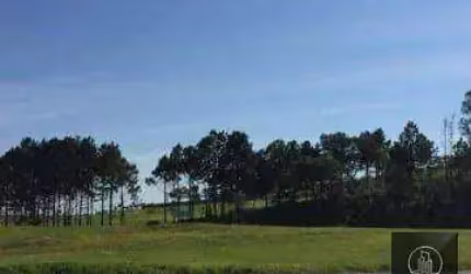 Área, 10900 m² - venda por R$ 3.900.000,00 ou aluguel por R$ 9.500,00/mês - Éden - Sorocaba/SP