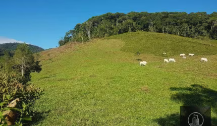 Fazenda à venda, 202000 m² por R$ 980.000,00 - Serra - Iporanga/SP