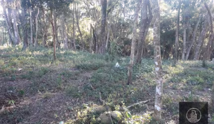 Terreno à venda, 160 m² por R$ 85.000 - Piedade - Piedade/SP