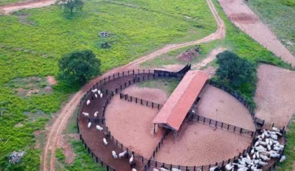 Fazenda à venda, 47720000 m² por R$ 160.000.000,00 - Centro - Ribas do Rio Pardo/MS
