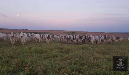 Fazenda à venda por R$ 165.000.000 - Centro - Pompéia/SP