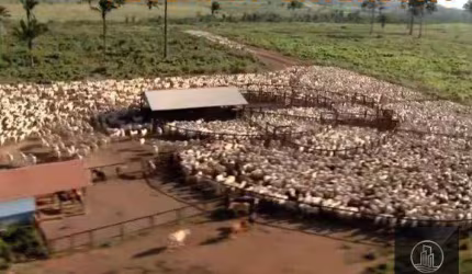 Fazenda à venda, 4270000000 m² por R$ 8.000.000.000 - Nova Marabá - Marabá/PA