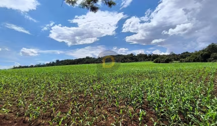Sítio em Nova Santa Rosa