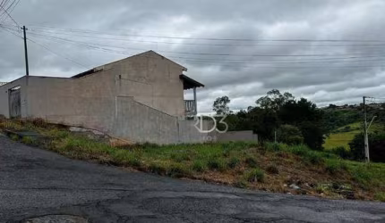 Terreno à venda, 290 m² por R$ 130.000,00 - Jardim Neman Sahyun - Londrina/PR