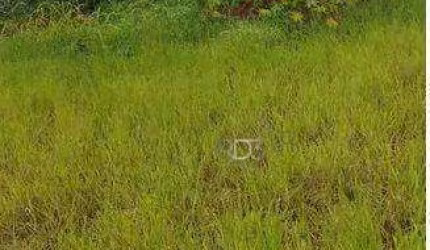 Terreno à venda, 250 m² por R$ 280.000,00 - Ouro Branco - Londrina/PR