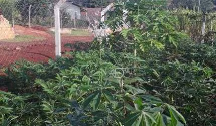 Chácara à venda, 1014 m² por R$ 185.000,00 - Zona Rural - Londrina/PR