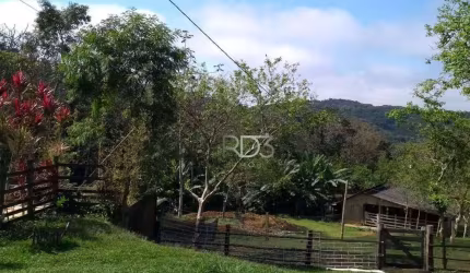 Chácara com 3 dormitórios à venda, 96800 m² por R$ 1.400.000,00 - Zona Rural - Antonina/PR