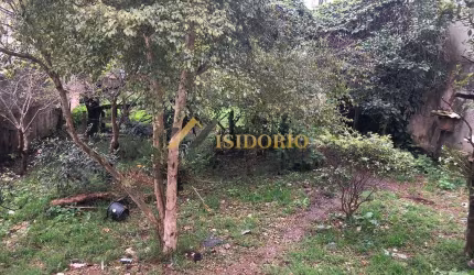 TERRENO NO PALOMA, BEM LOCALIZADO!! 480m² DE ÁREA TOTAL, ZR4