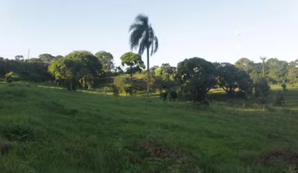 Terreno Comercial no Bormann, com 5.000,00 m². Clique para saber mais.
