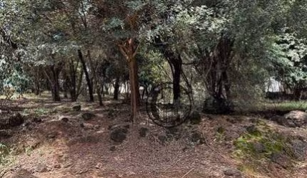 Terreno à venda, 7100 m² por R$ 25.000.000,00 - Campolim - Sorocaba/SP