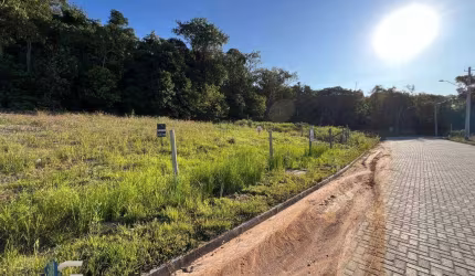 Terreno Lotemento Novo Horizonte- São José