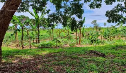 Chácara à venda 3 Quartos, 1 Suite, 78000M², Zona Rural, Acorizal - MT