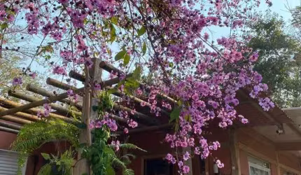 Rancho à venda, 1, Chapada dos Guimarães, MT